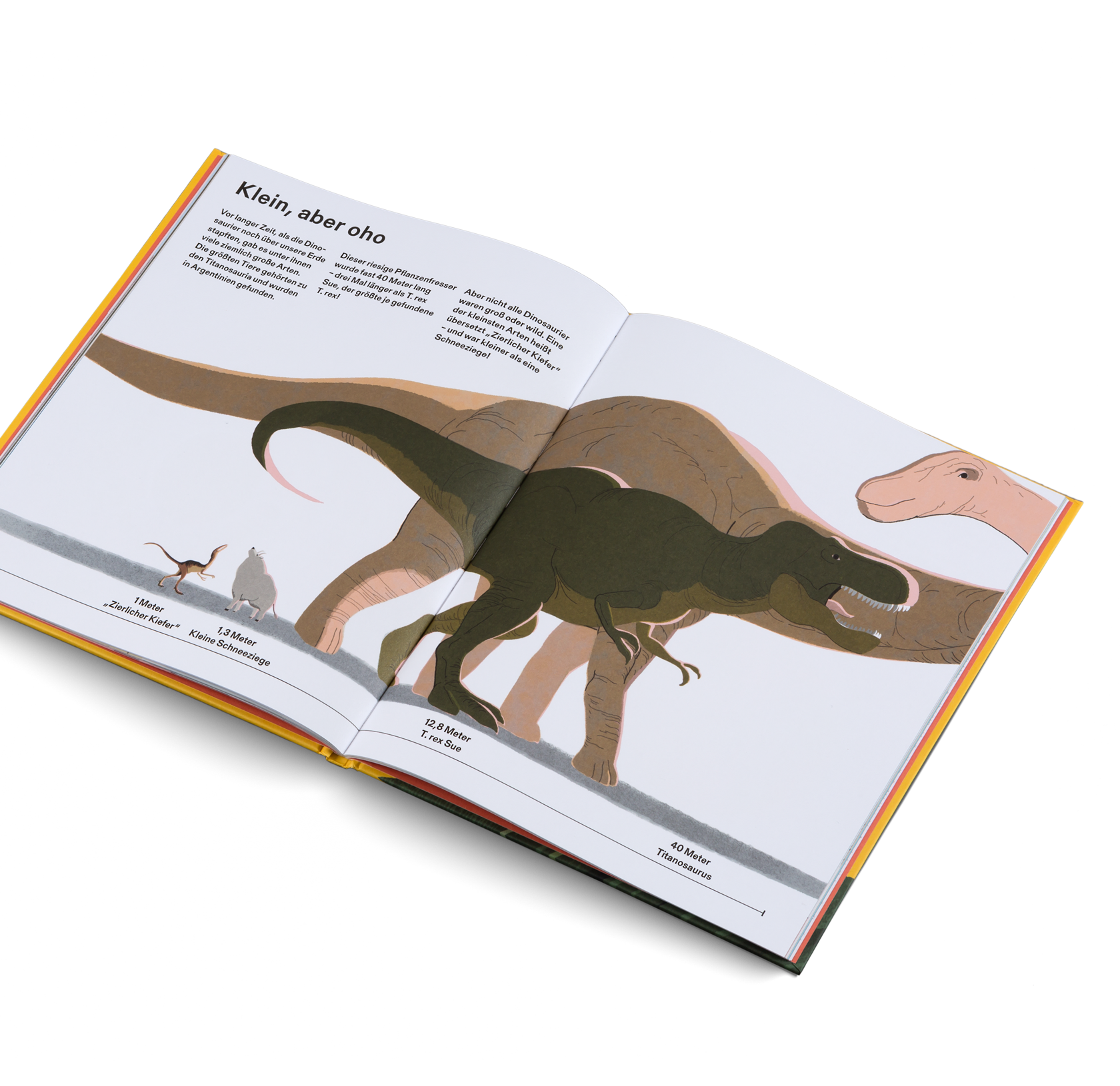 Wie groß, wie weit, wie schnell? Die Welt und ich Kinderbuch Längen Zeiten Maße verstehen Kleine Gestalten 