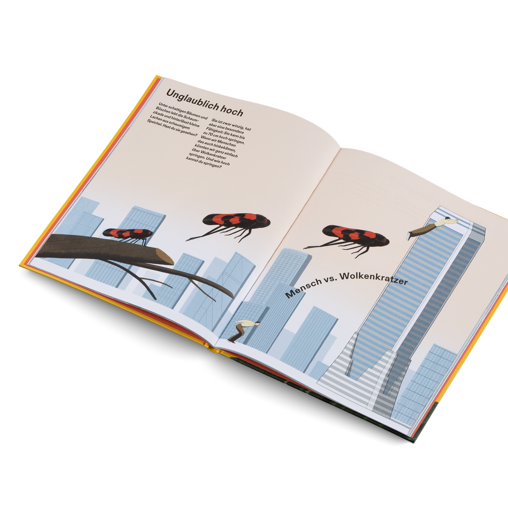 Wie groß, wie weit, wie schnell? Die Welt und ich Kinderbuch Längen Zeiten Maße verstehen Kleine Gestalten 
