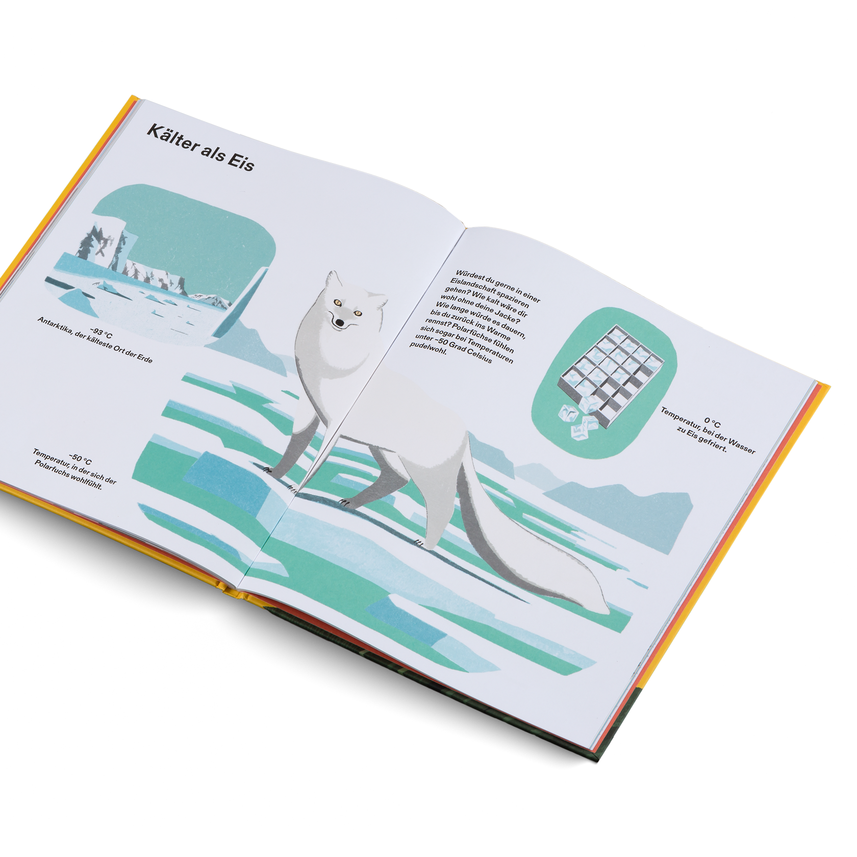 Wie groß, wie weit, wie schnell? Die Welt und ich Kinderbuch Längen Zeiten Maße verstehen Kleine Gestalten