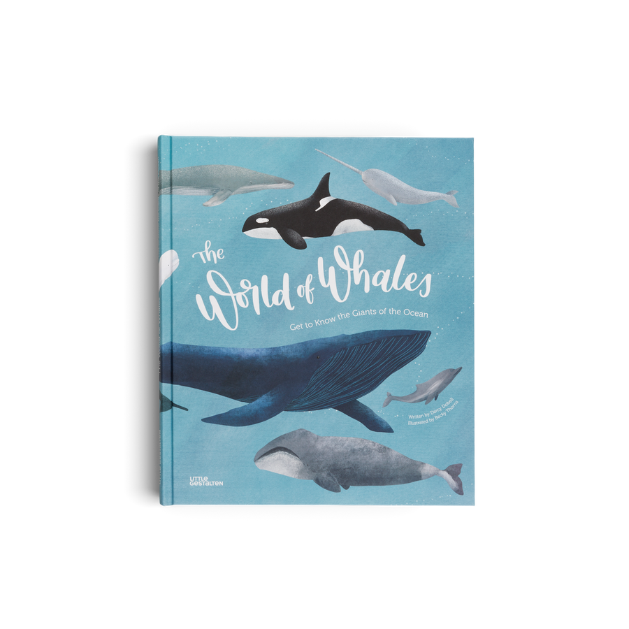 The World of Whales a book for children by little gestalten