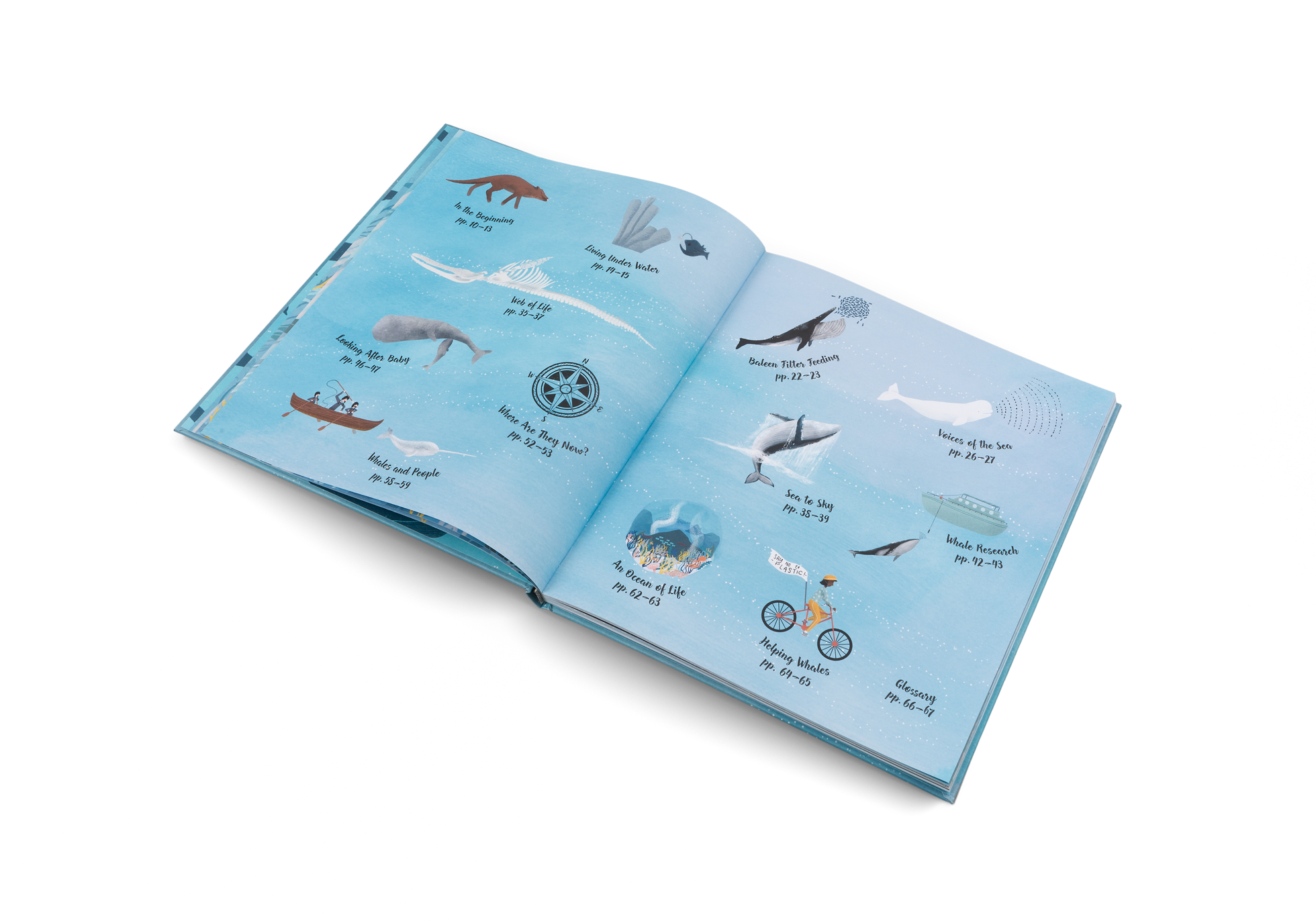 Orcas, blue whales and beluga whales belong to the marine life