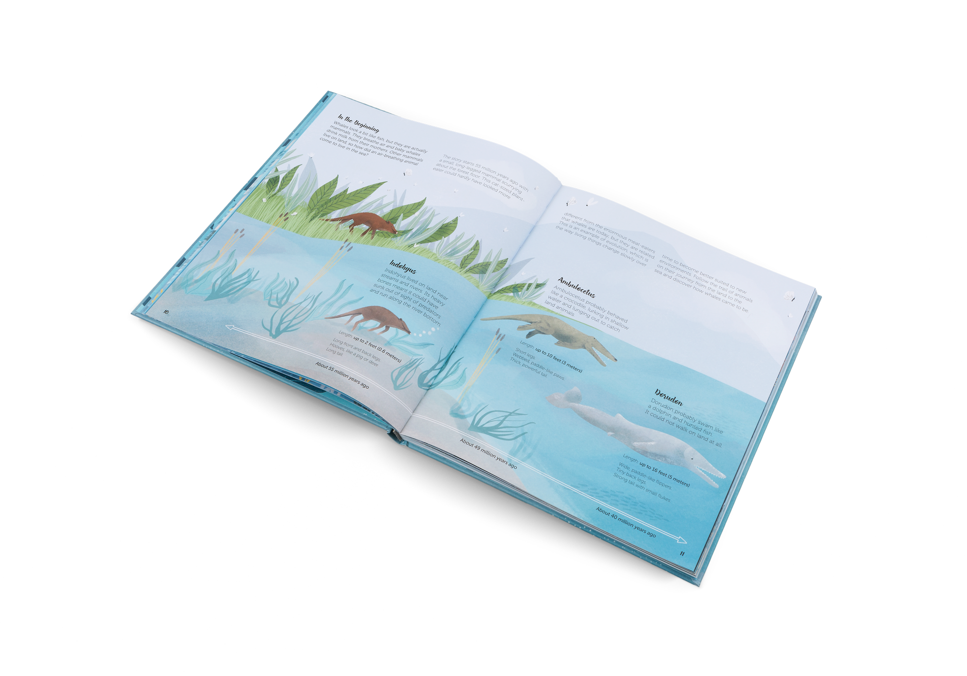 the origins of marine mammals