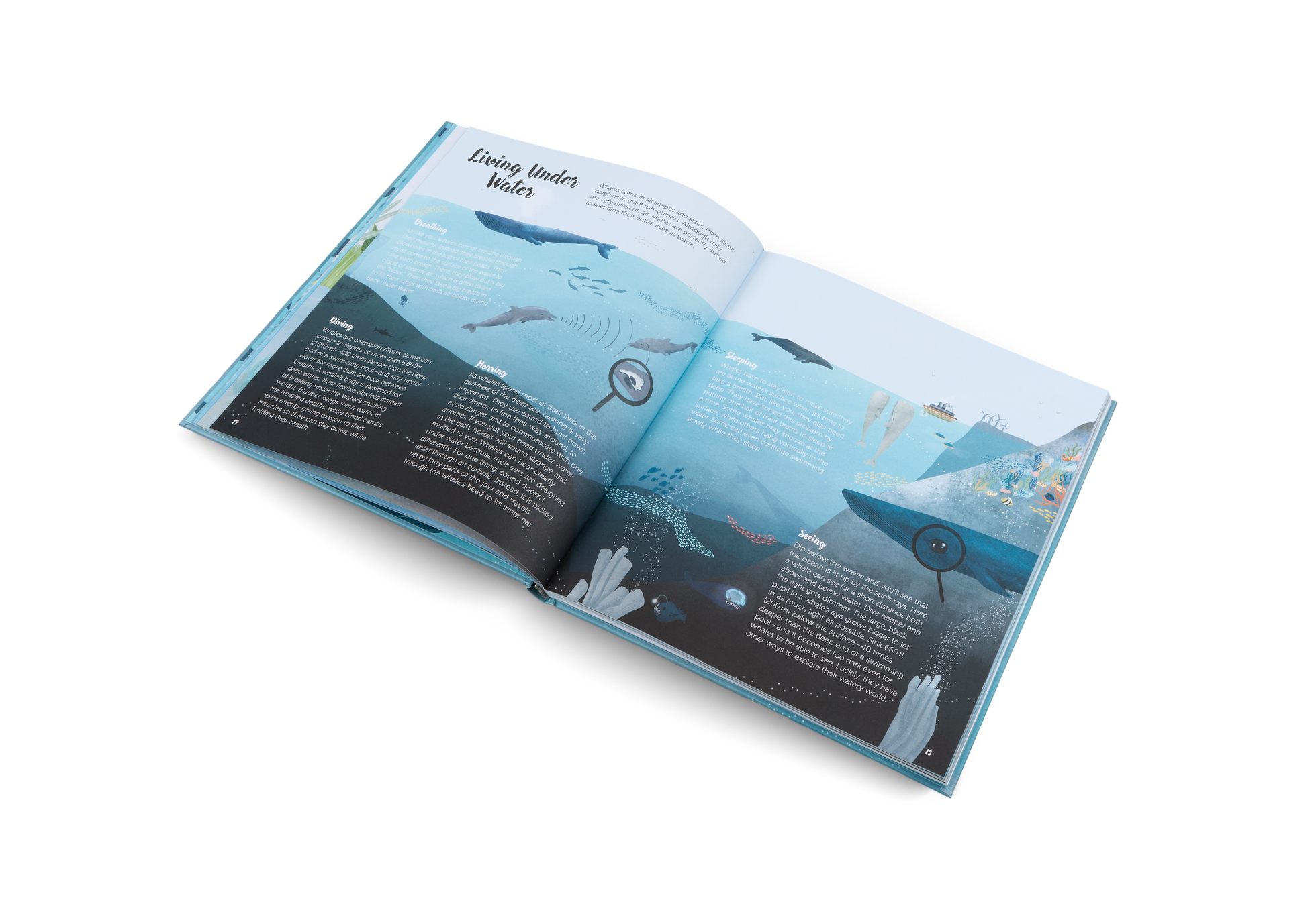 Living under the sea
