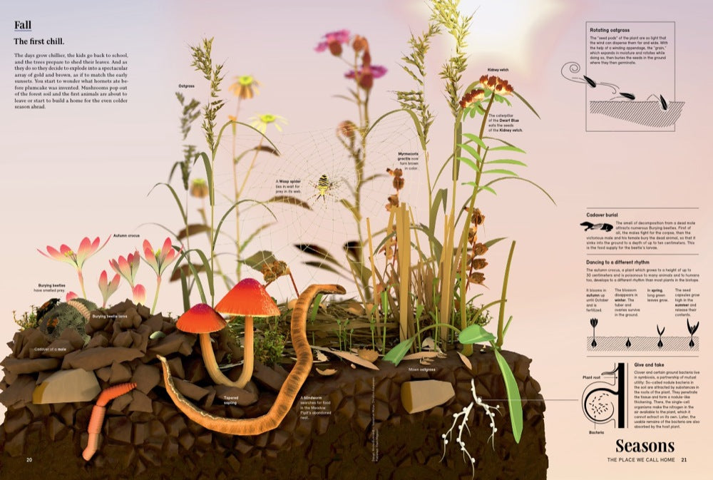 Around the World 978-3-89955-497-7