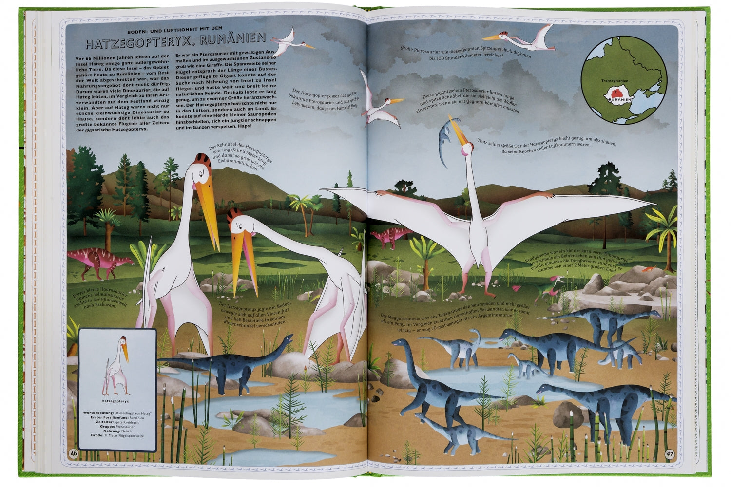 Der Atlas der Dinosaurier Kinderbuch Kleine Gestalten
