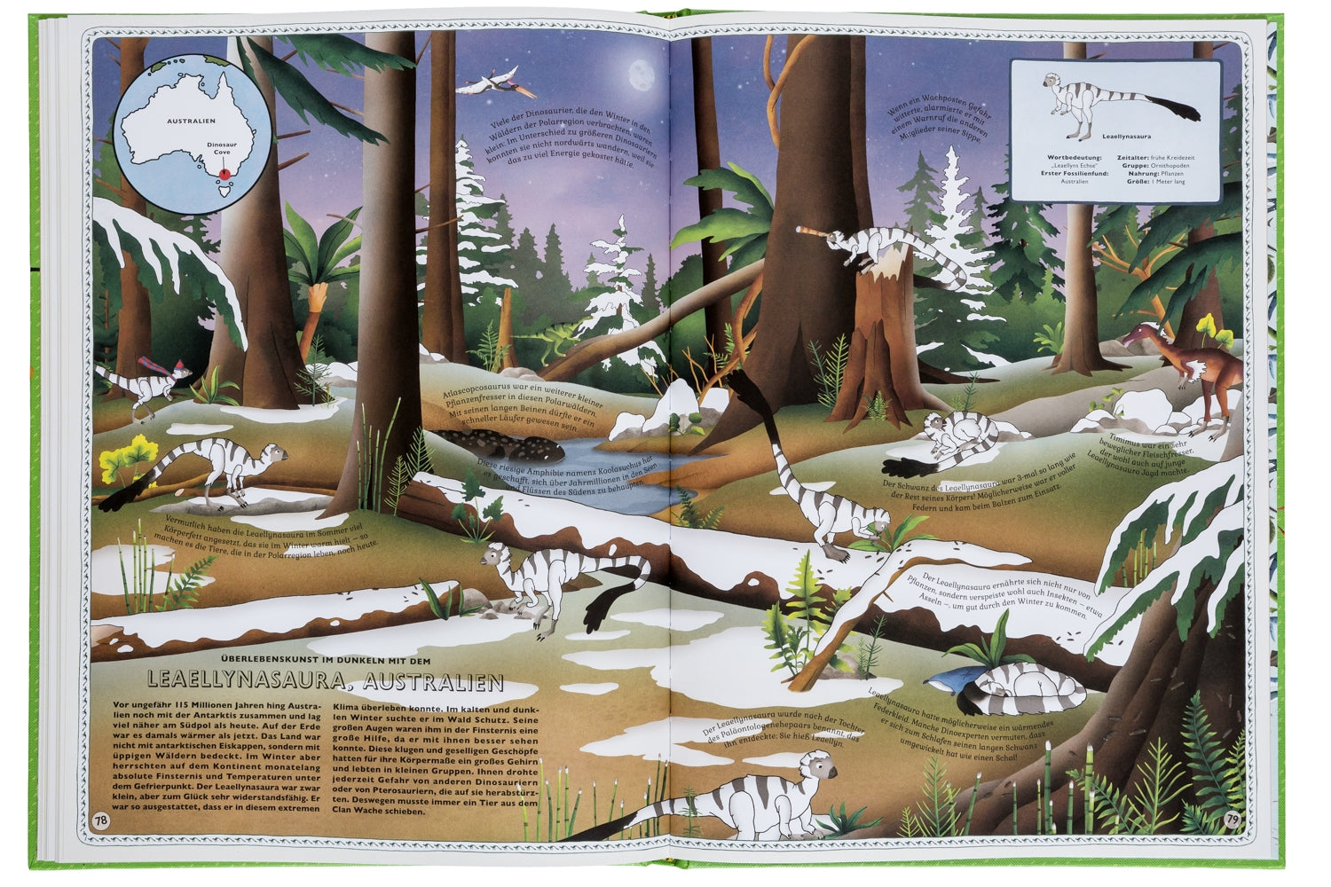 Der Atlas der Dinosaurier Kinderbuch Kleine Gestalten