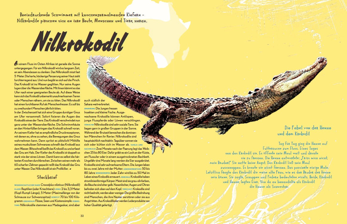 Auf Safari! 978-3-89955-781-7