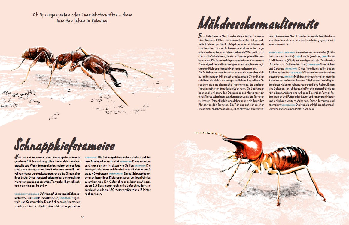 Auf Safari! 978-3-89955-781-7