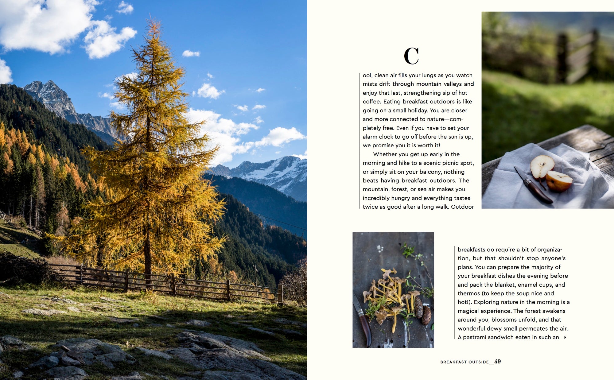 Stay for Breakfast 978-3-89955-643-8