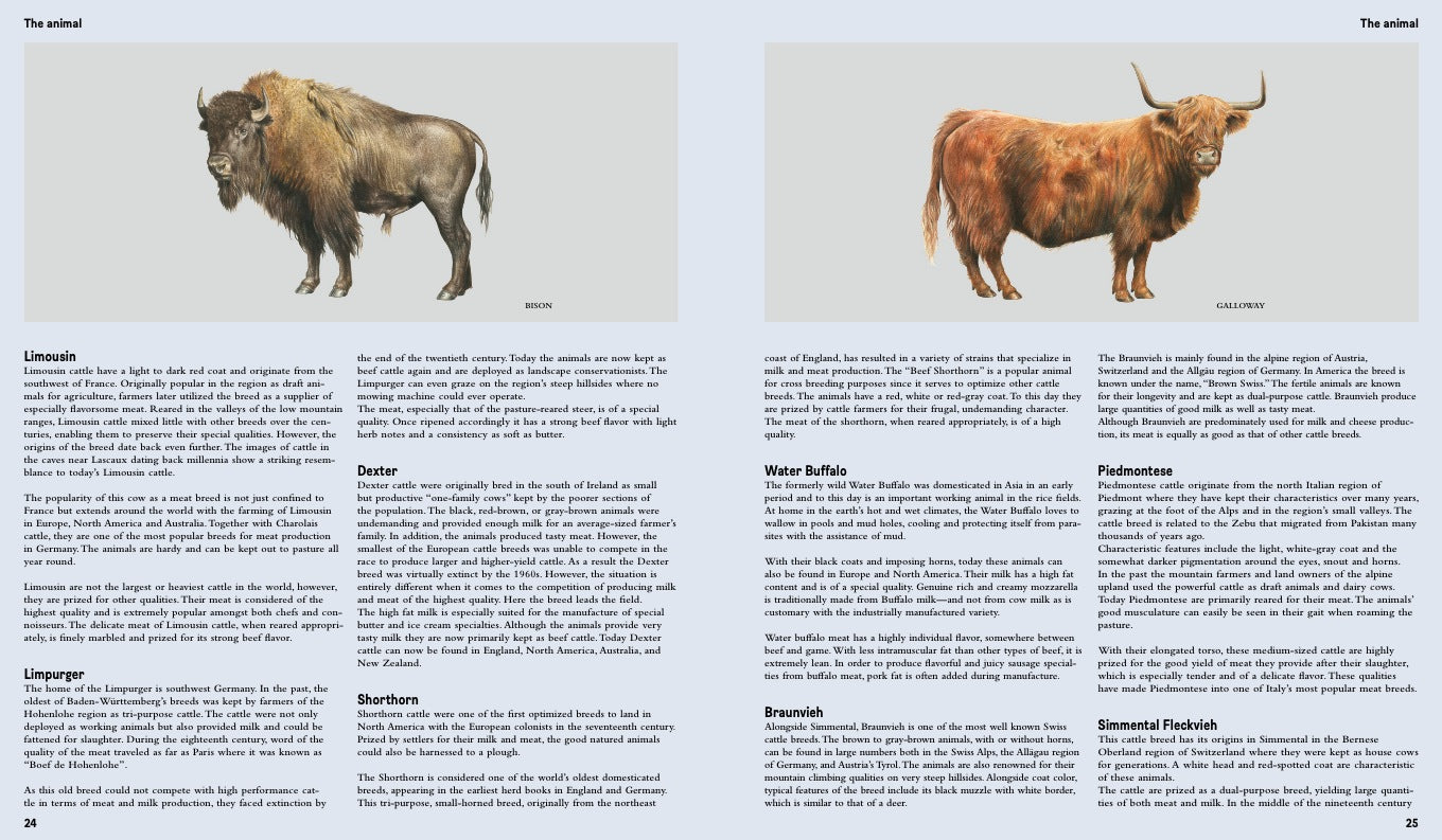 Crafted Meat (UK) 978-3-89955-596-7