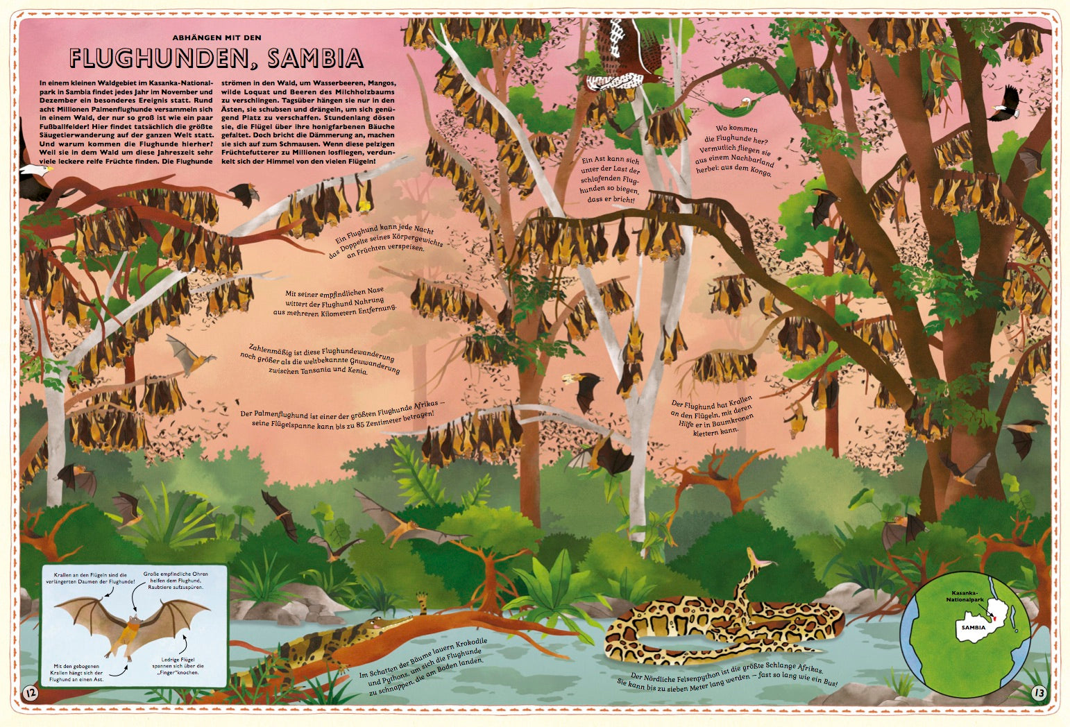 Der große Atlas der Tiere Kleine Gestalten Kinderbuch