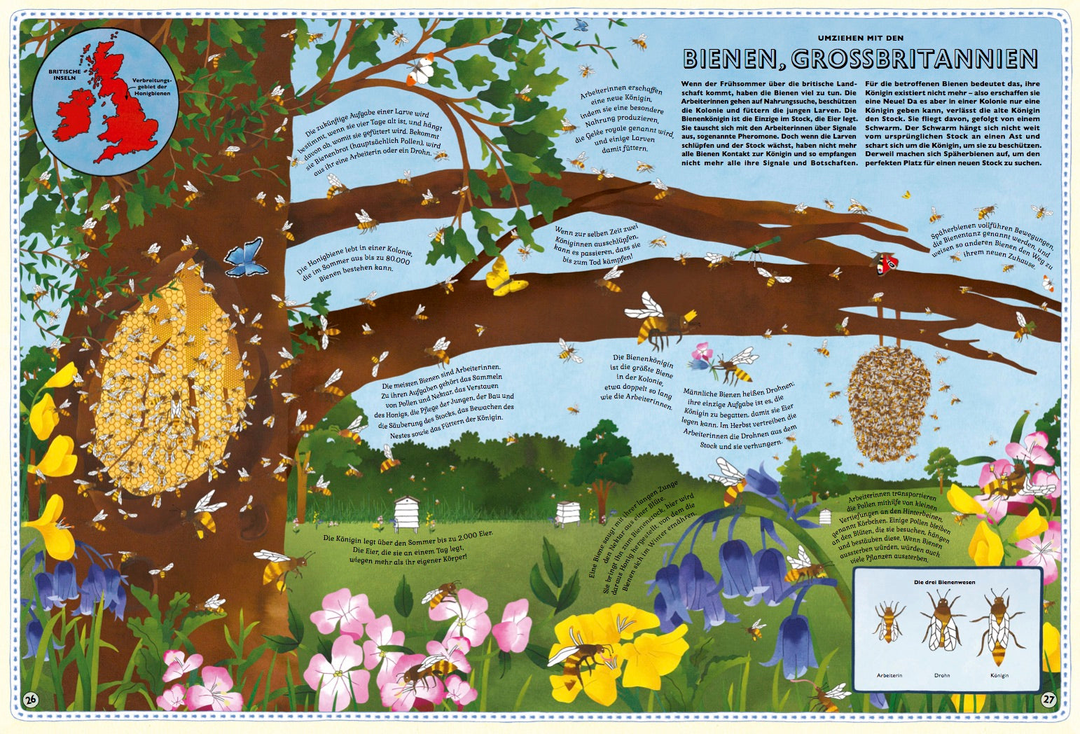 Der große Atlas der Tiere Kleine Gestalten Kinderbuch