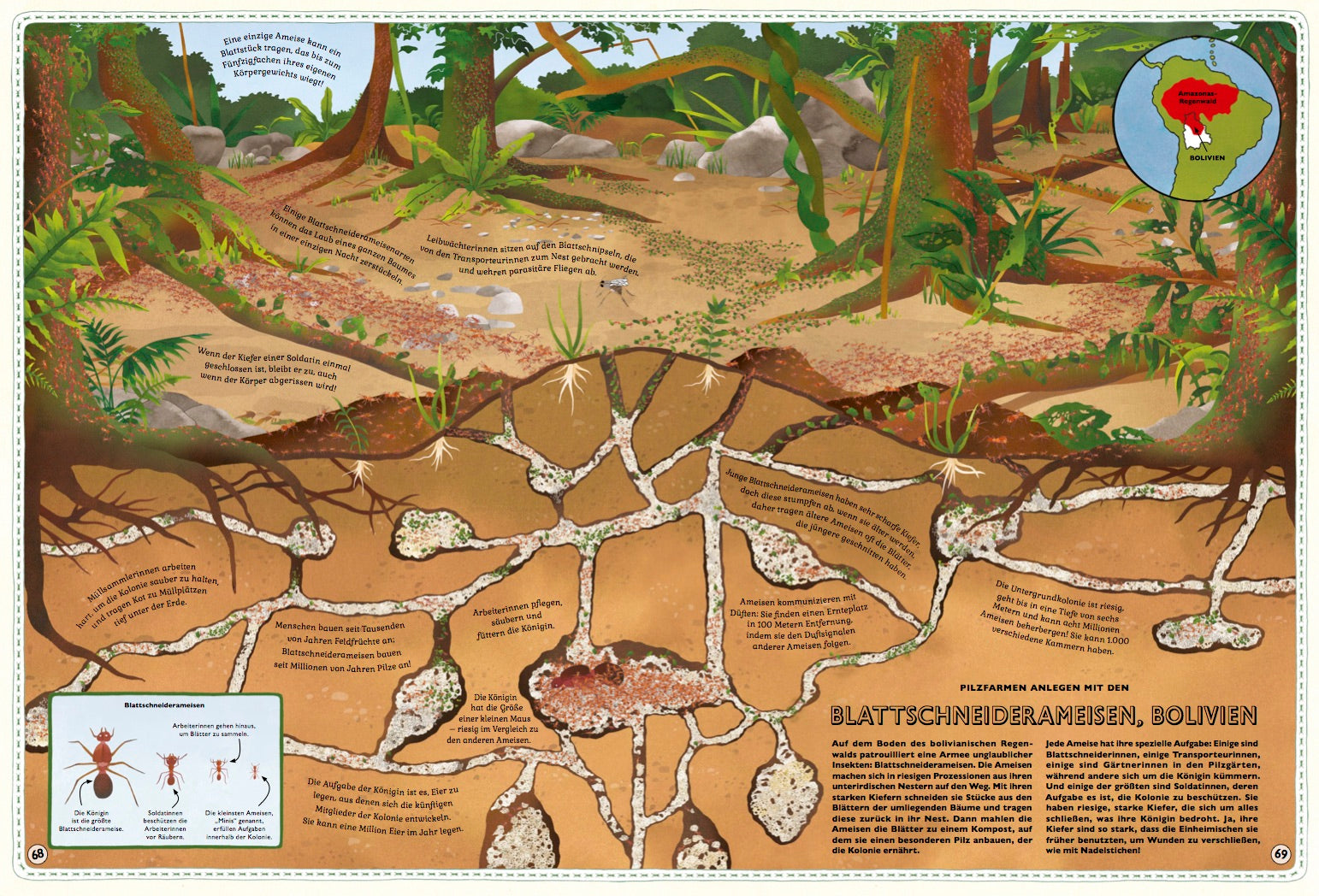 Der große Atlas der Tiere Kleine Gestalten Kinderbuch