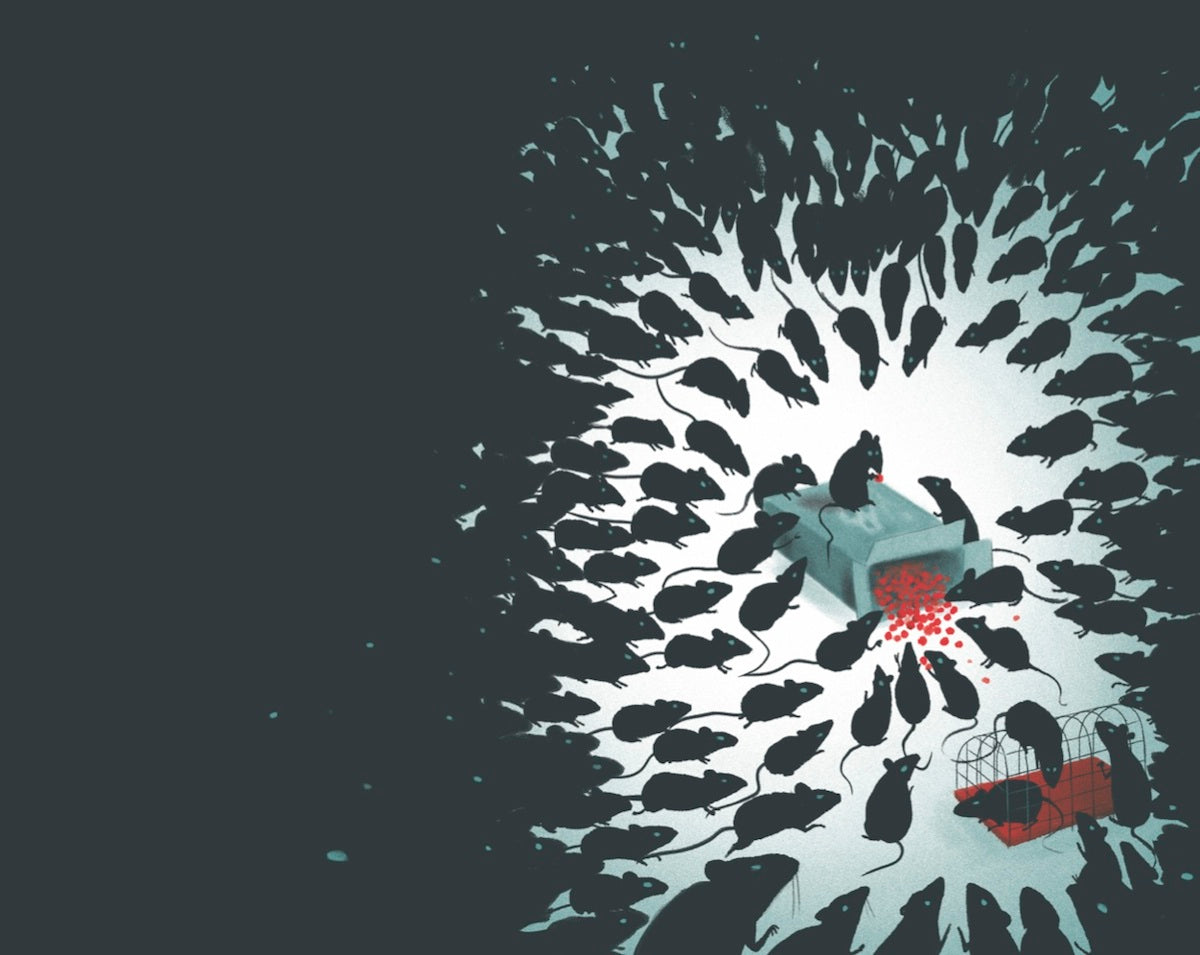 Der Rattenfänger von Hameln 978-3-89955-766-4