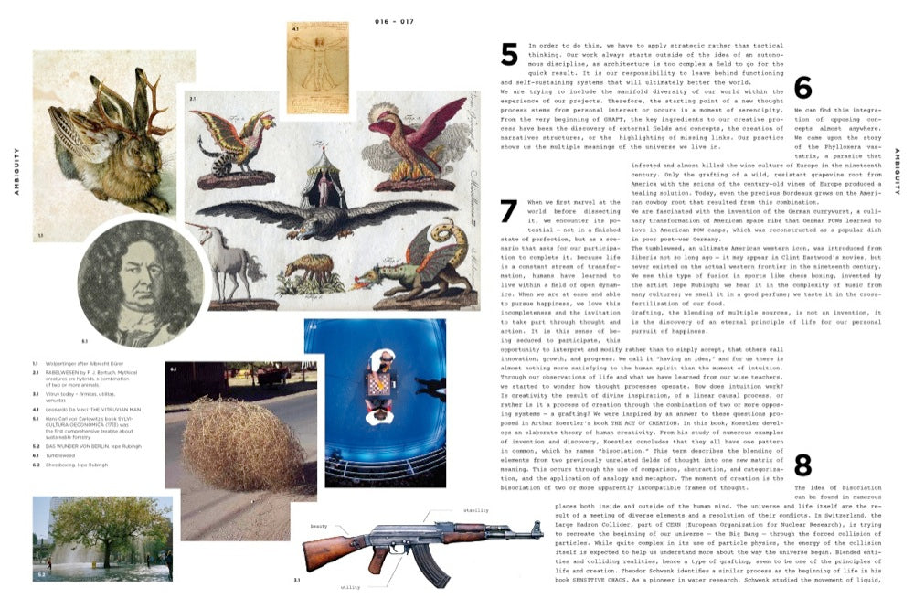 Distinct Ambiguity 978-3-89955-392-5