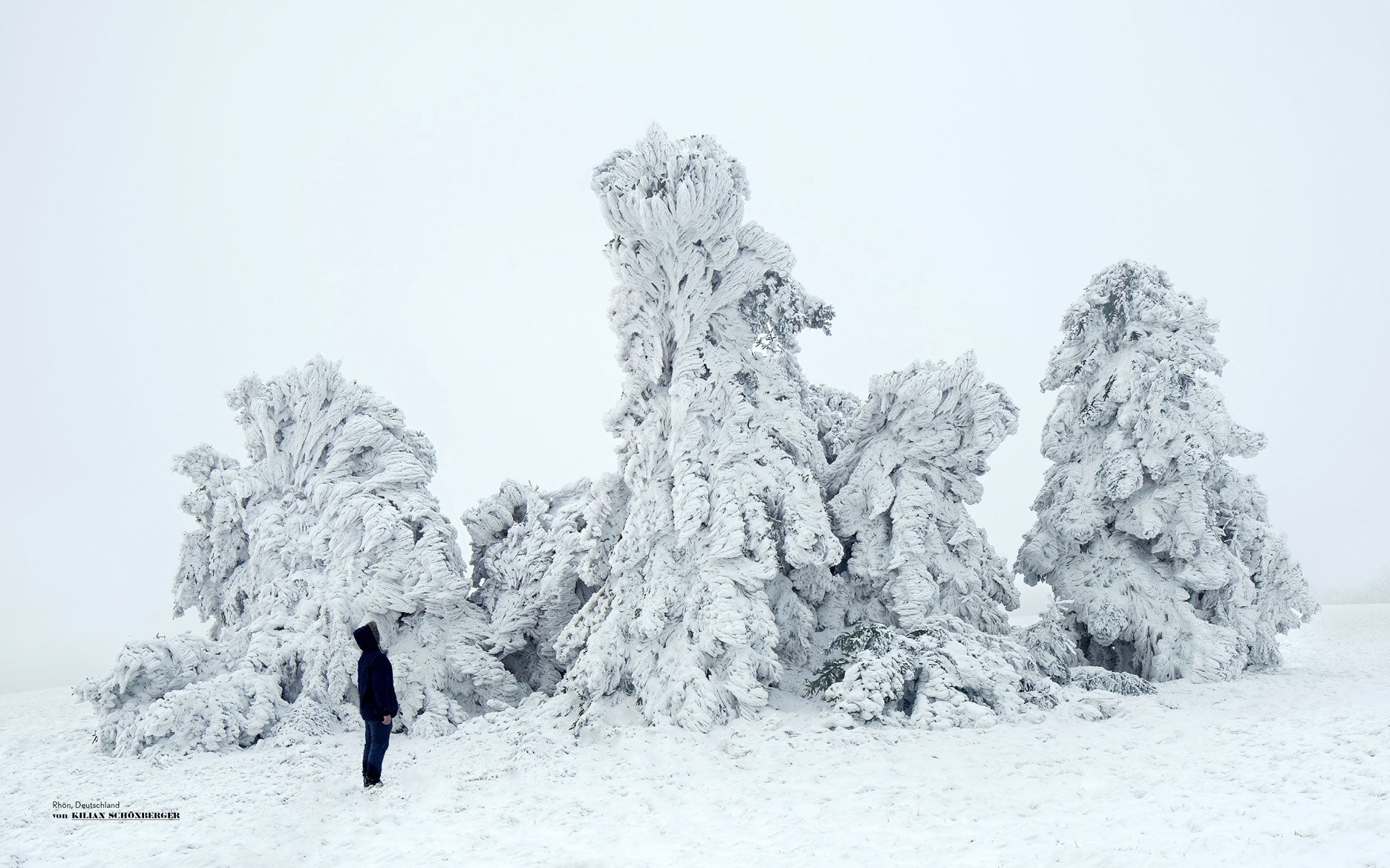 Endlich Winter gestalten Buch Fotografie