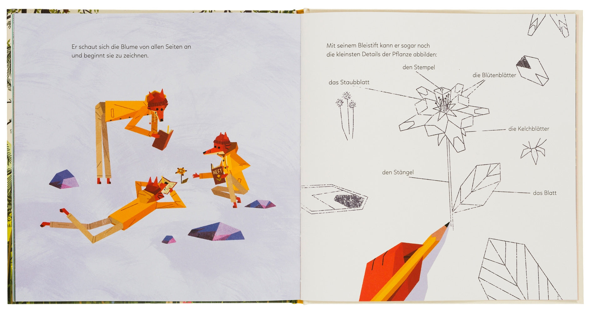 Die goldene Funkelblume 978-3-89955-803-6