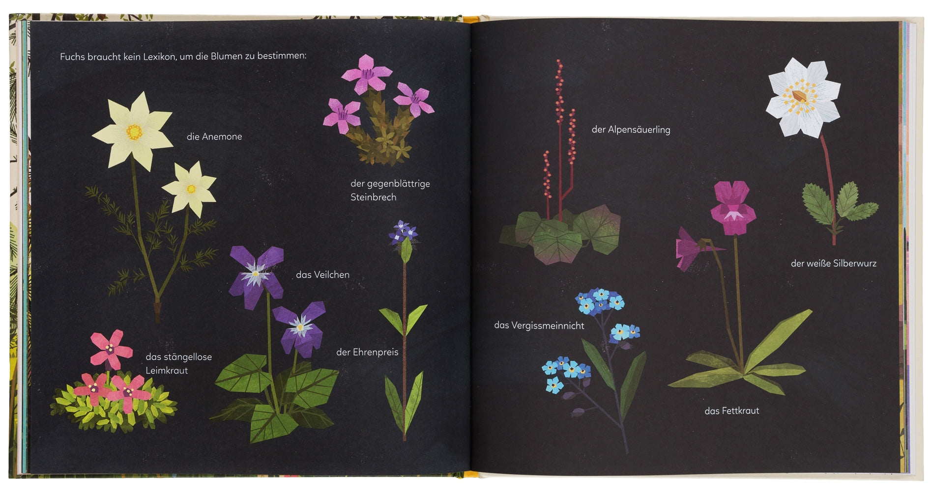 Die goldene Funkelblume 978-3-89955-803-6