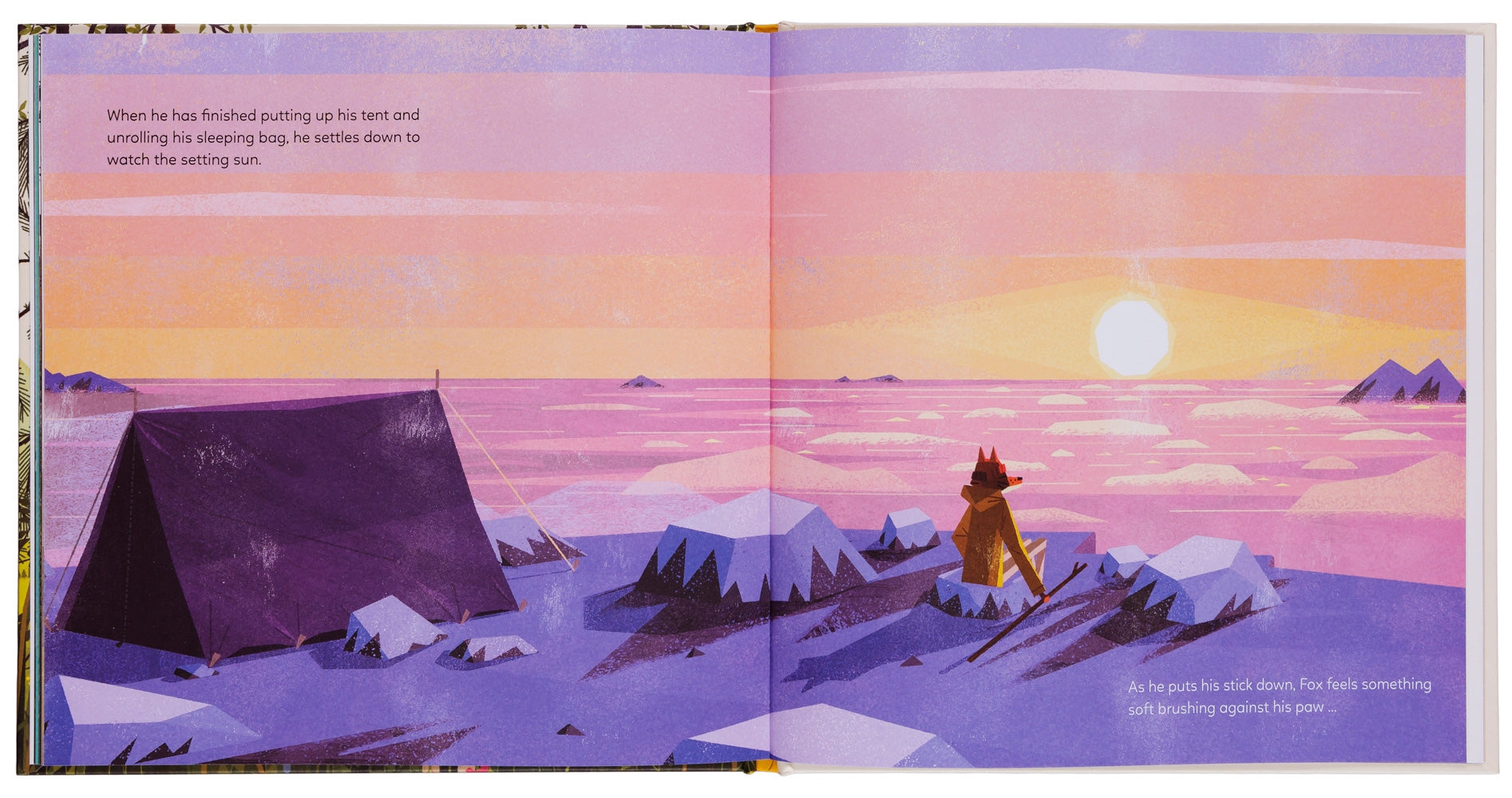 The Mystery of the Golden Wonderflower 978-3-89955-802-9