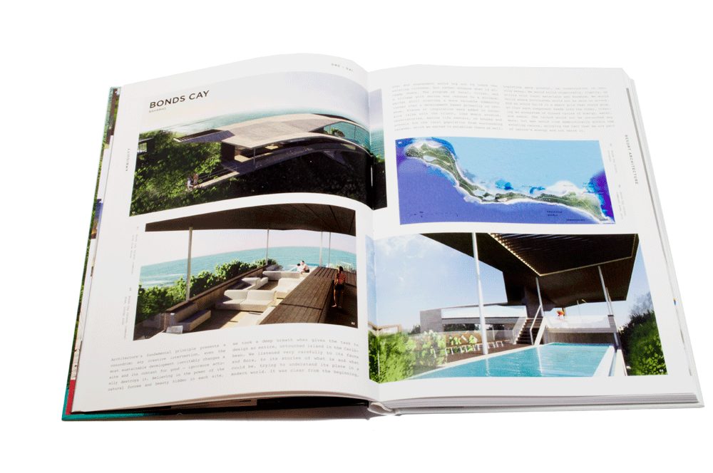 Distinct Ambiguity 978-3-89955-392-5