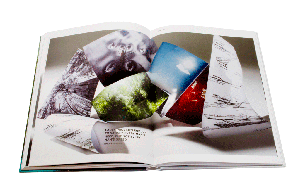 Distinct Ambiguity 978-3-89955-392-5