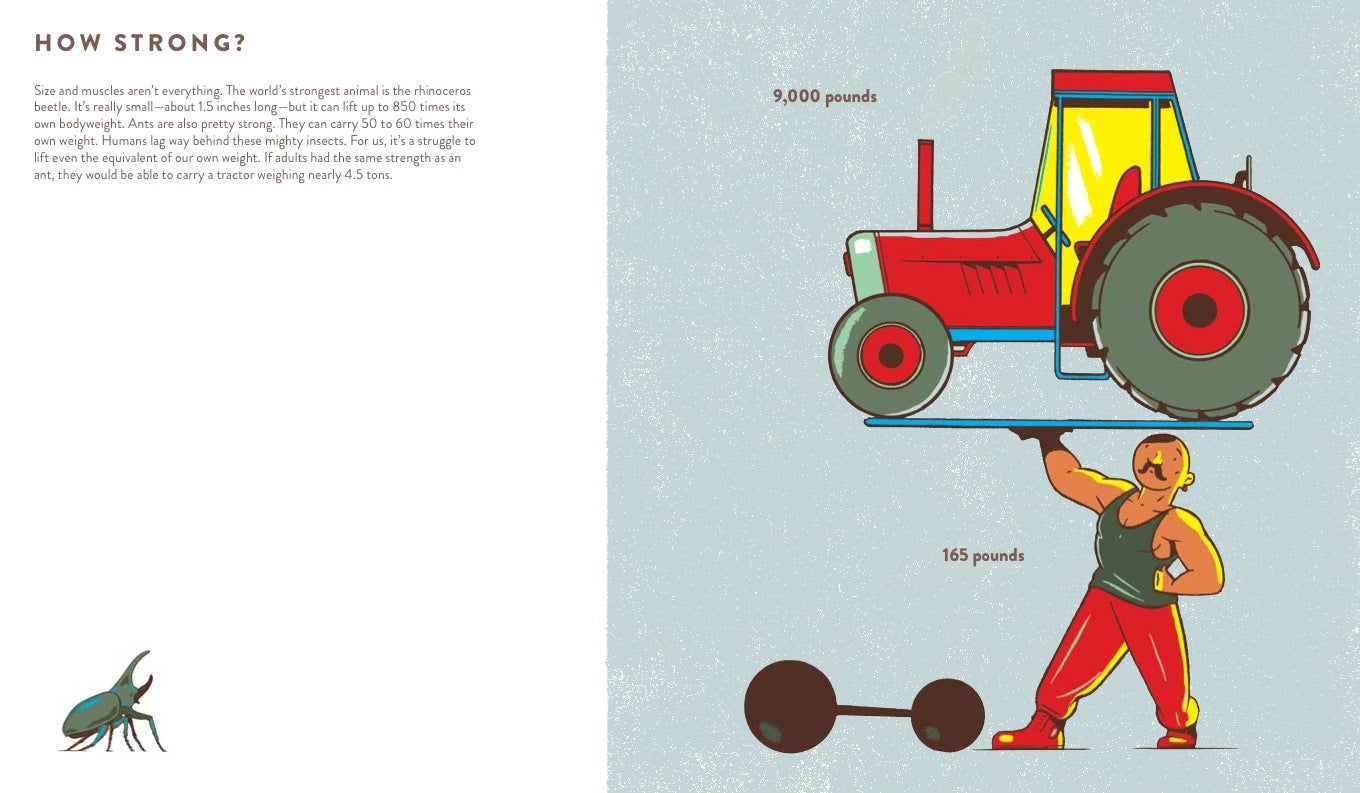 How Big Is Big? How Far Is Far? 978-3-89955-732-9