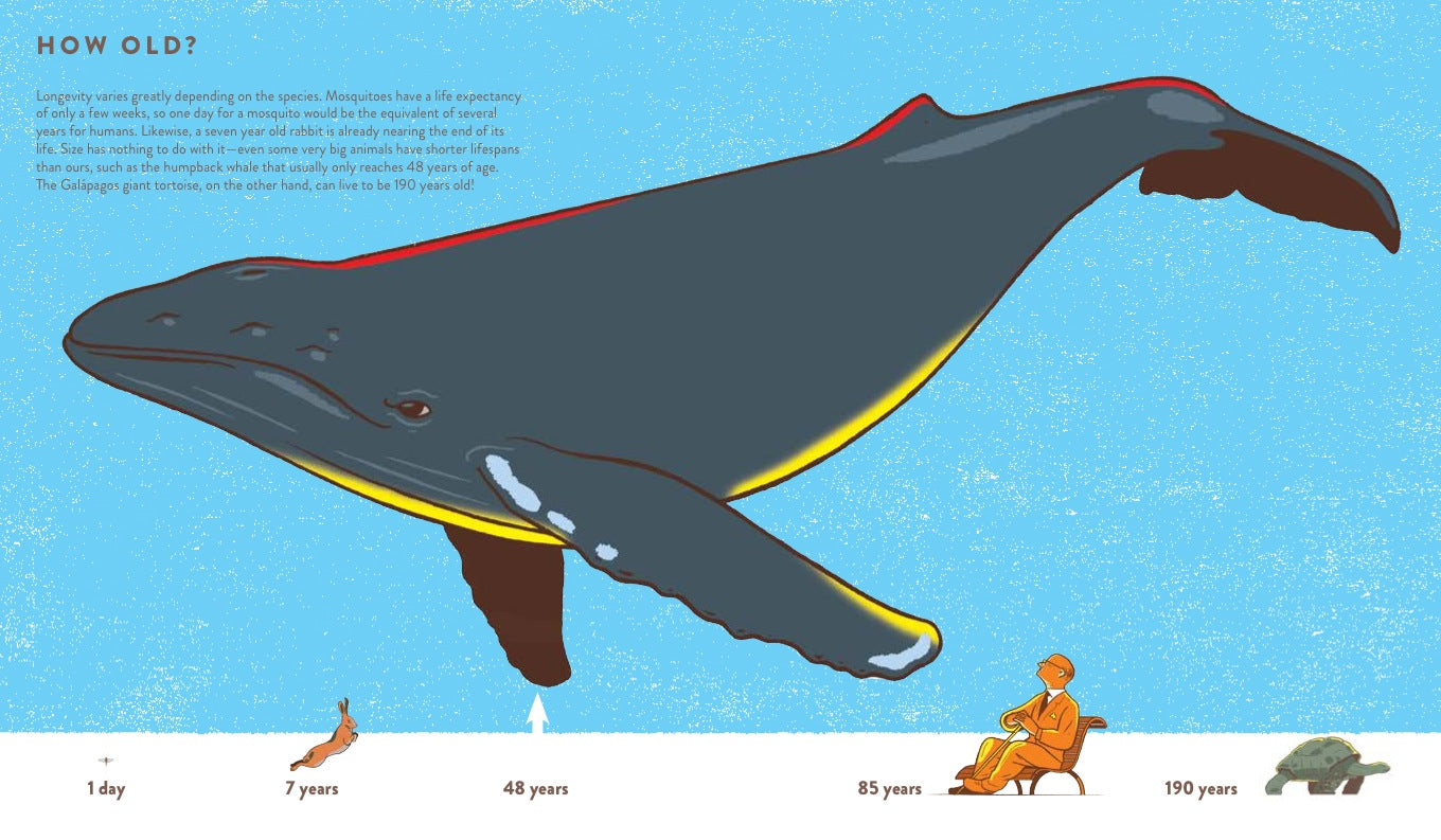 How Big Is Big? How Far Is Far? 978-3-89955-732-9