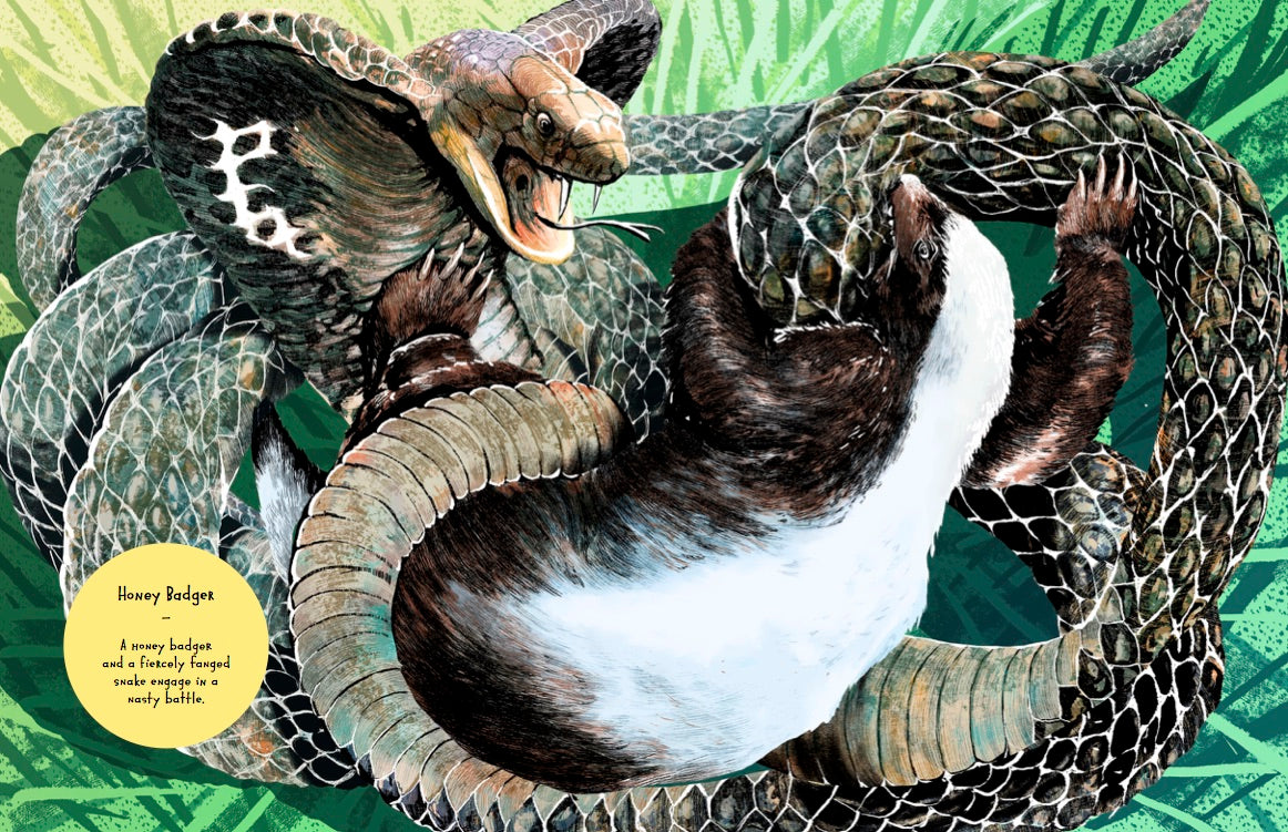 Animal Allstars 978-3-89955-782-4