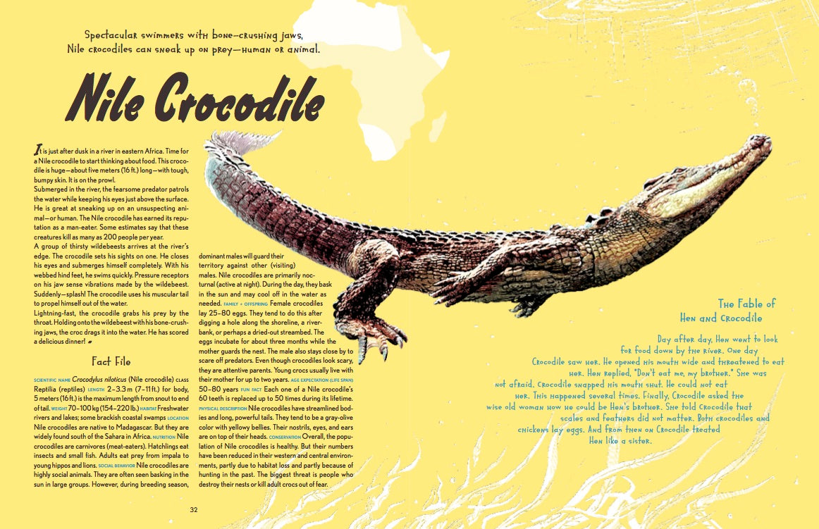 Animal Allstars 978-3-89955-782-4