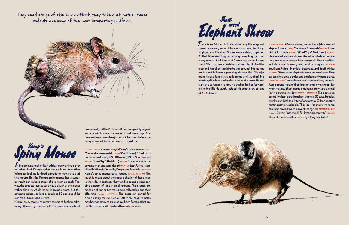 Animal Allstars 978-3-89955-782-4