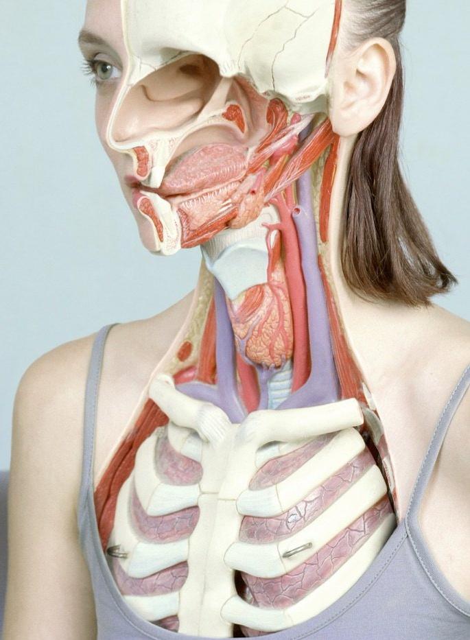 Look Inside 978-3-89955-639-1