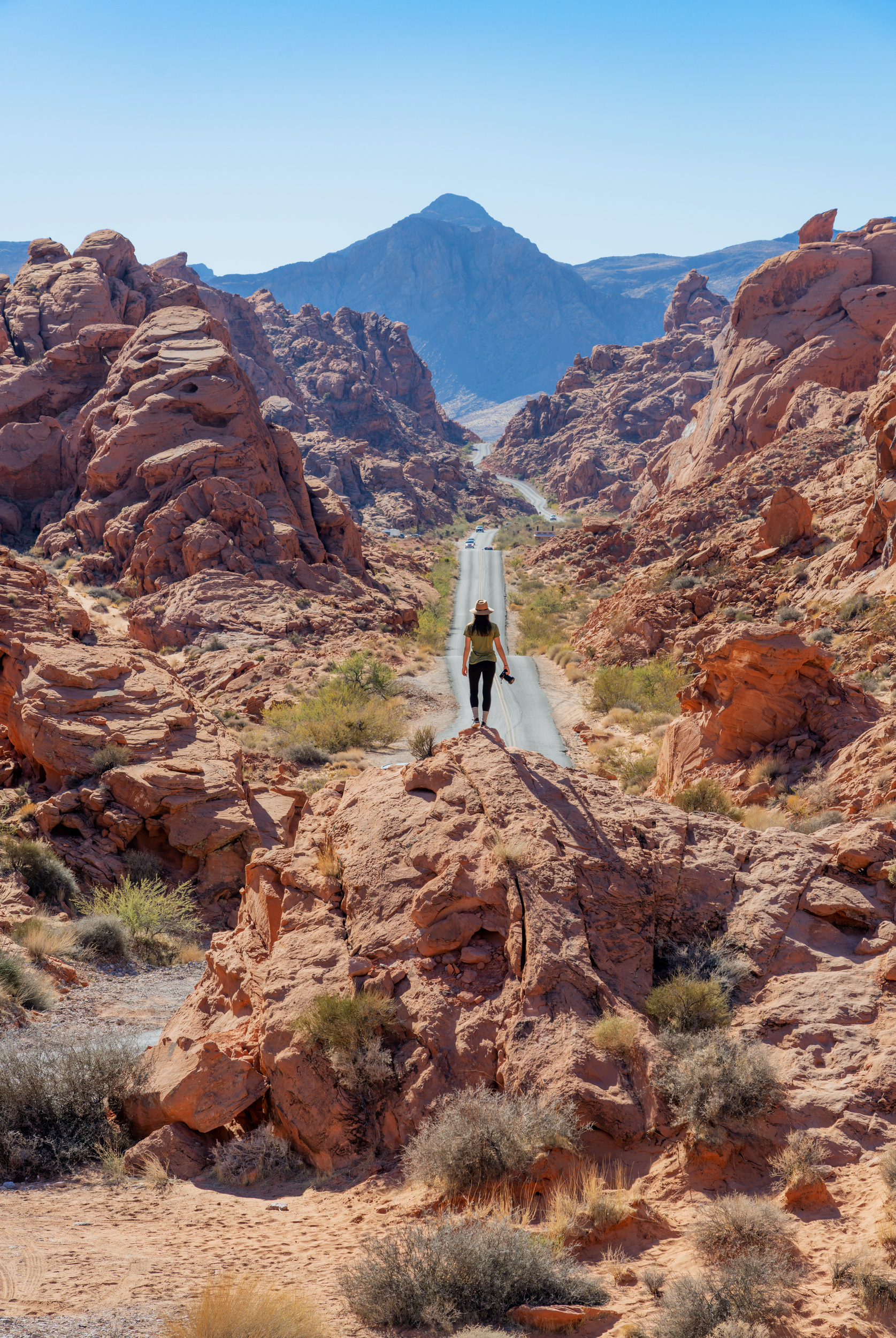Indulge Your Whims in America’s Fun-Filled, Party-Packed Vice Cities. Discover the most exciting North American road-trips  in The Great American Road Trip by gestalten.