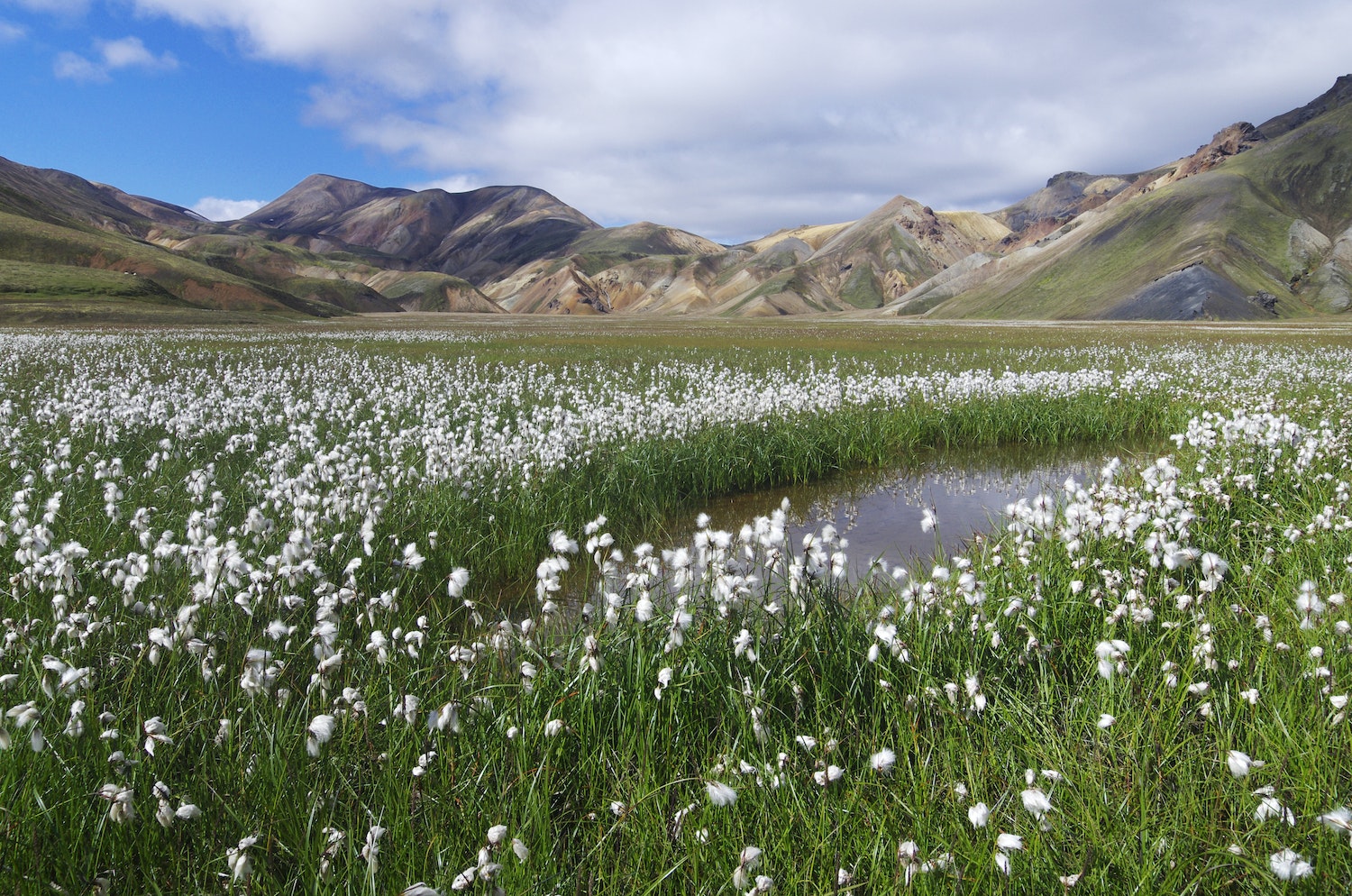 Ein Foto von Laugavegur, Island in Wanderlust Skandinavien von Cam Honan.
