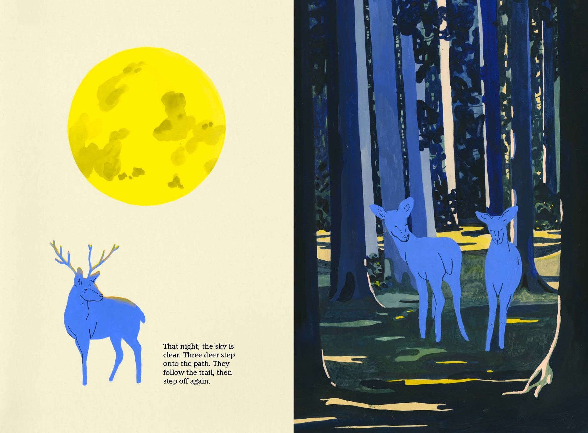 That night, the sky is clear. Three deer step onto the path. They follow the trail, then step off again.