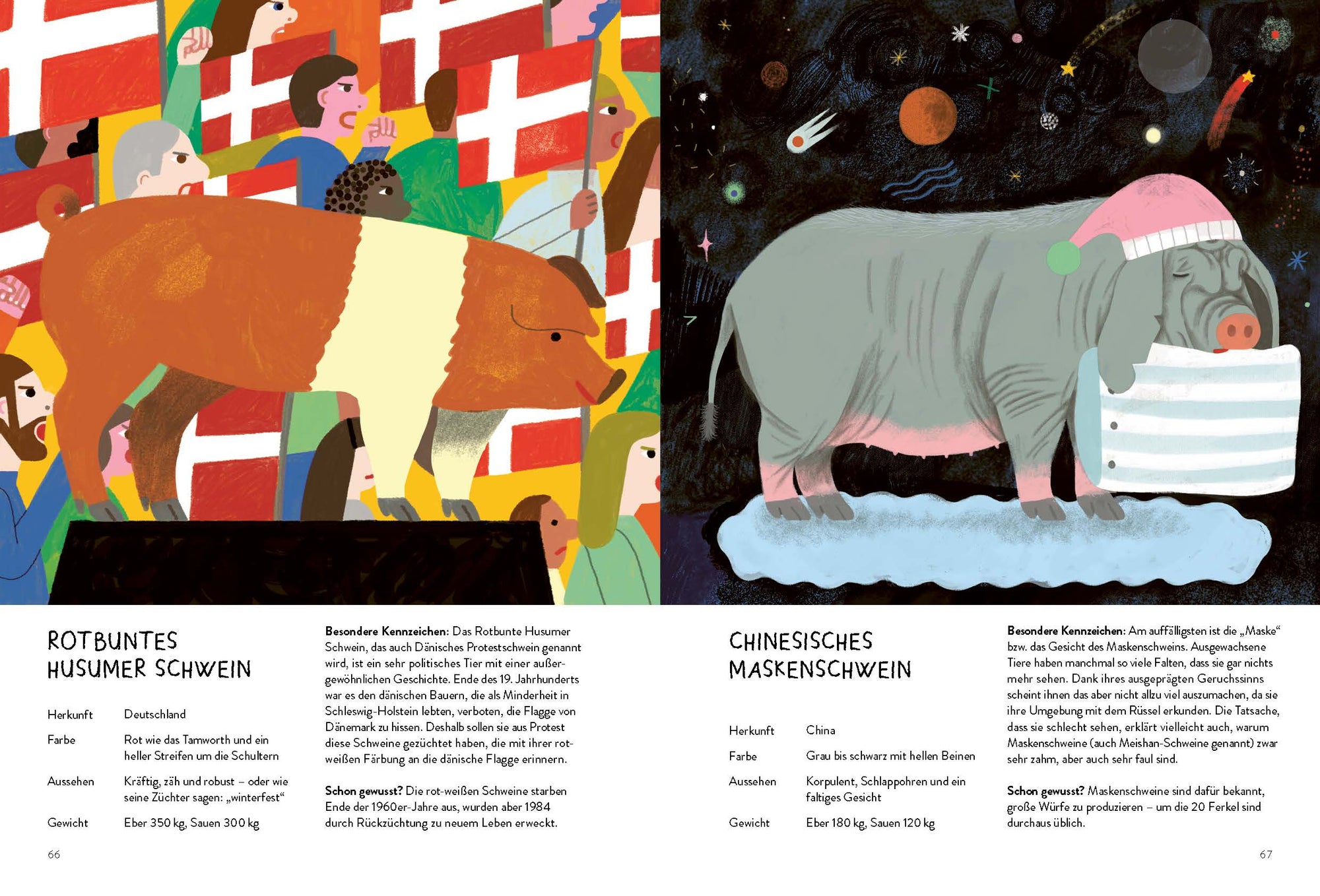 Das Rotbuntes Husumer Schwein und das Chinesisches Maskenschwein sind auch in Schwein gebhabt! von Kleine Gestalten