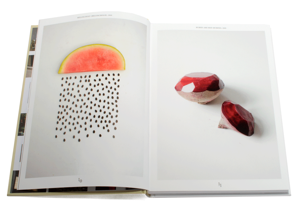 Sarah Illenberger 978-3-89955-385-7