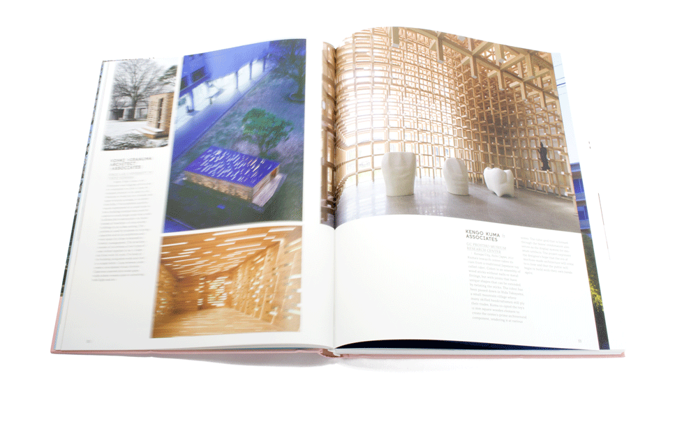 Sublime 978-3-89955-372-7