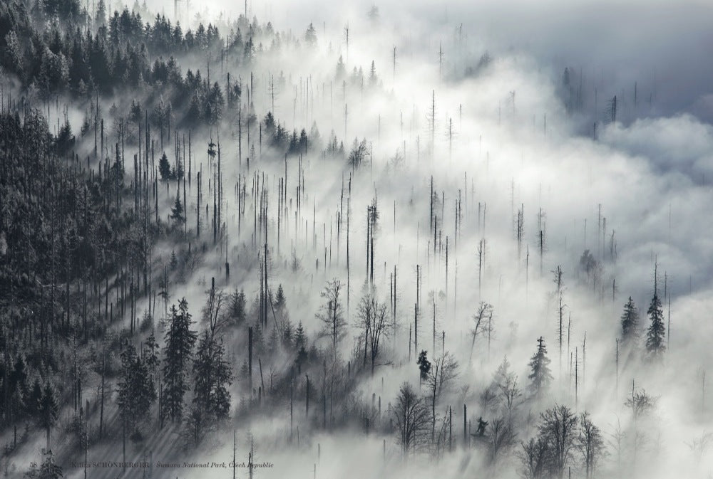 The Great Wide Open Book Gestalten Outdoor Photography