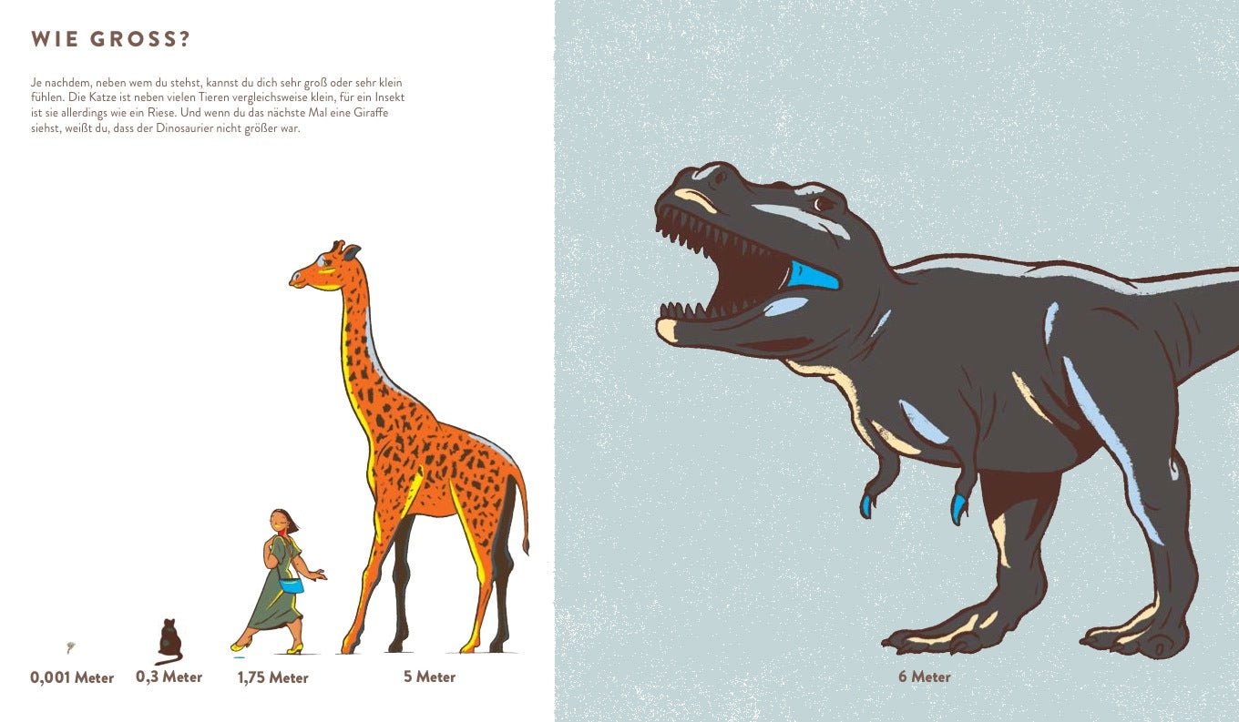 Wie groß, wie weit, wie schnell? 978-3-89955-731-2