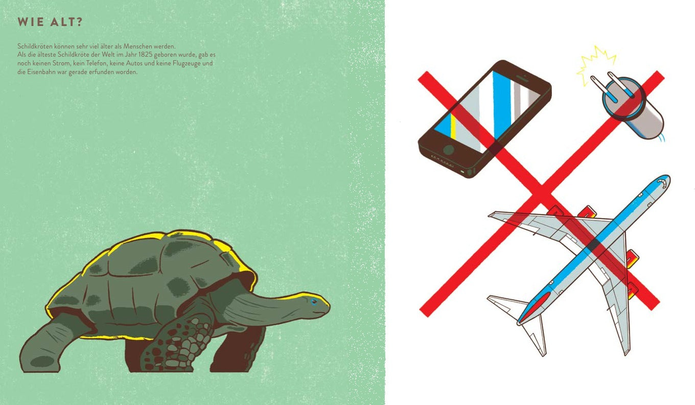 Wie groß, wie weit, wie schnell? 978-3-89955-731-2